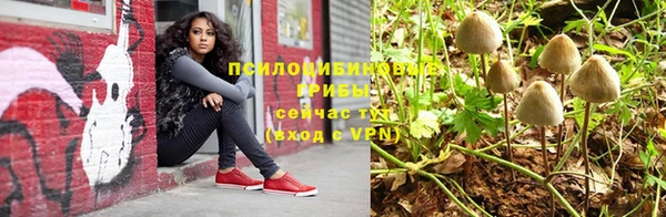 амф Похвистнево