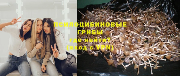 герыч Абаза