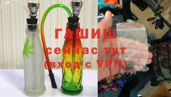 хмурый Почеп