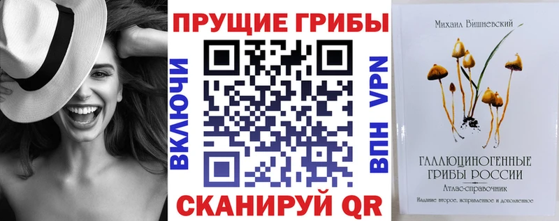 где найти   Тюкалинск  Галлюциногенные грибы Cubensis 